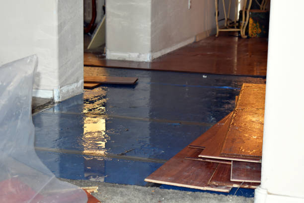 Professional Water Damage Repair technician working in Long Beach, IN